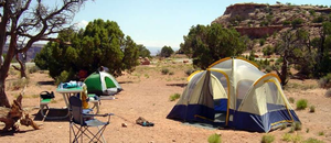 Willow Flat Campground / Island in the Sky Section (NPS Campground)