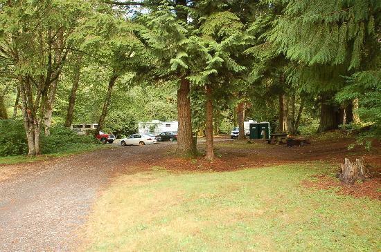 Friday Creek Campground1