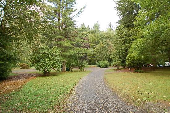 Friday Creek Campground2