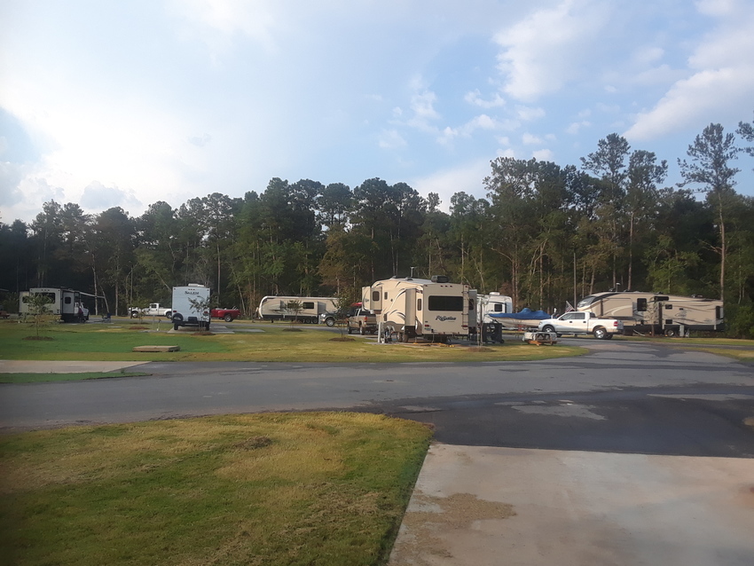 Rv S At Liveoak