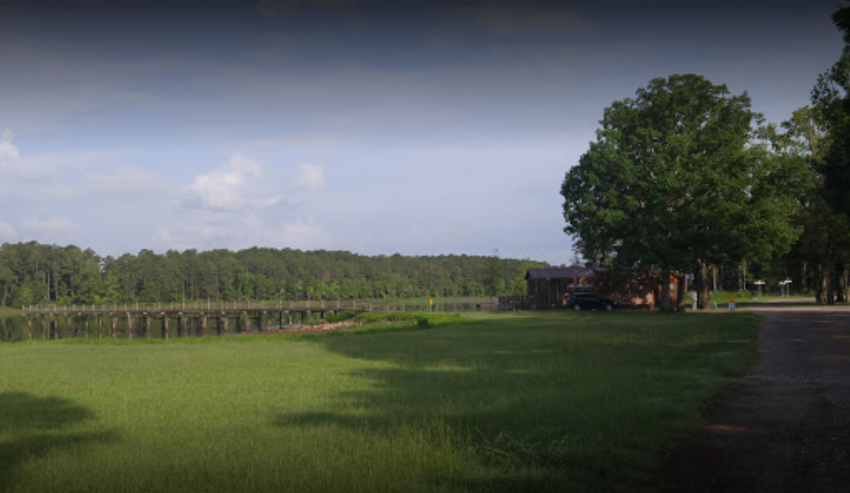 Starkville Koa 3