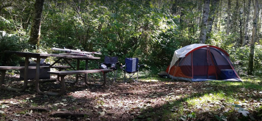 Saddle Mountain State Natural Area Seaside Or