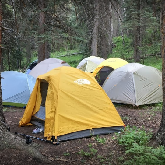 Roosevelt National Forest Bellvue Co