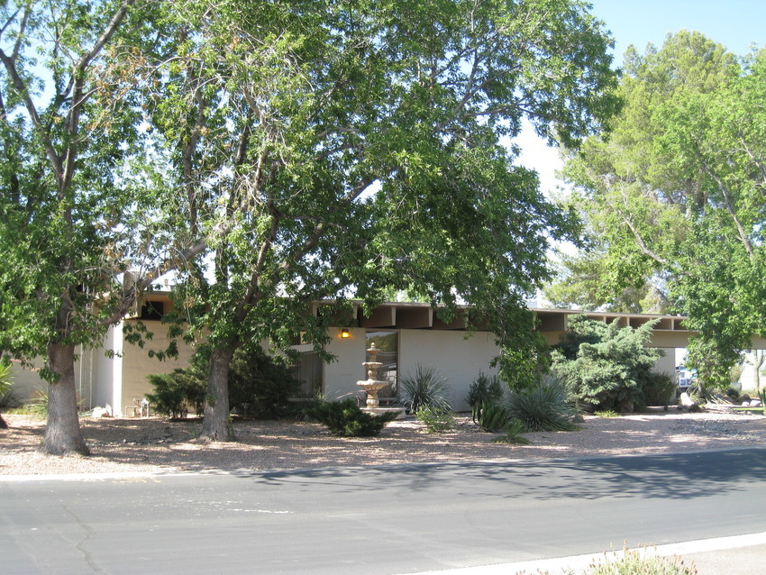 Large Club House 3