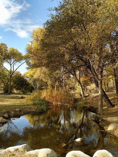 Creek Photo