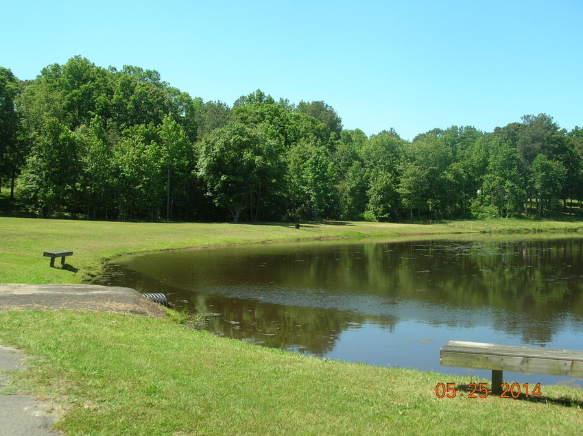 Pond