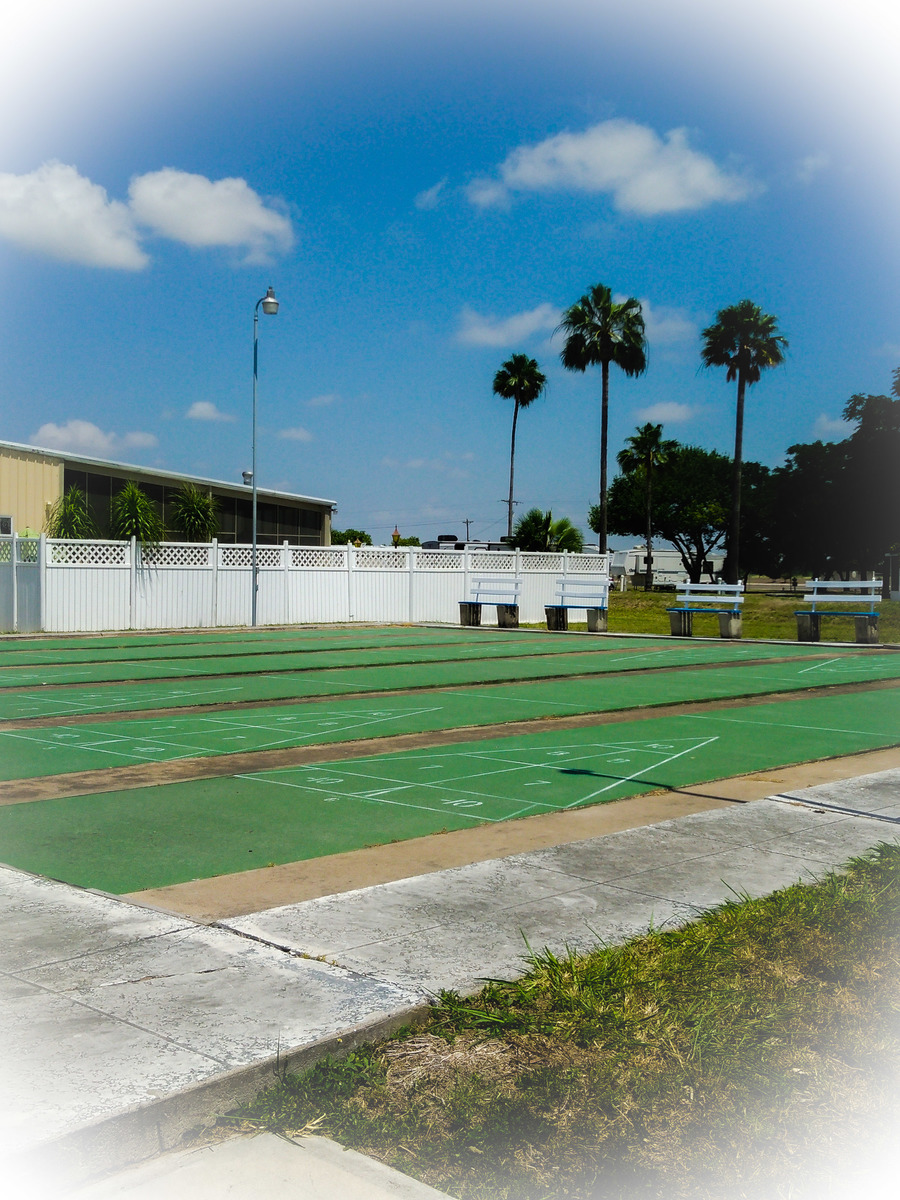 Owners To Do List   Pull Weeds Shuffleboard