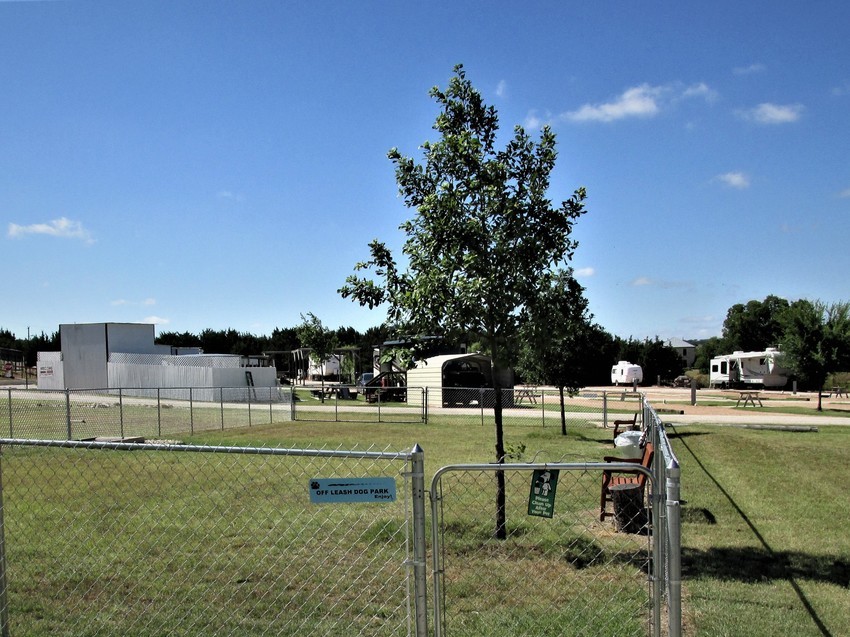 Dog Park