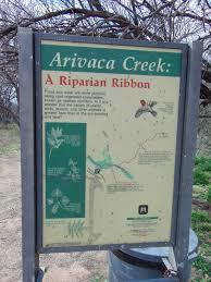 Arivaca Creek Trail