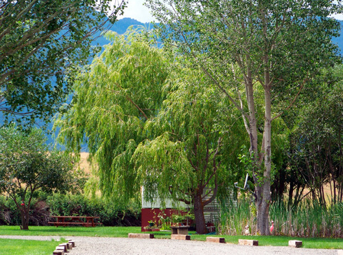 Mt View Rv Park Willow Jpg