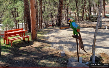 Midtown Mountain Campground   Rv Park Ruidoso Nm 1