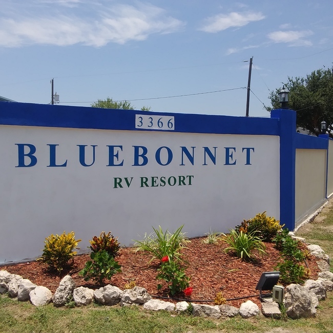 Bluebonnet Rv Park Mission Tx 0