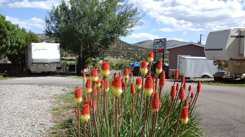 Silver Leaf Rv Park Ruidoso Downs Nm 1