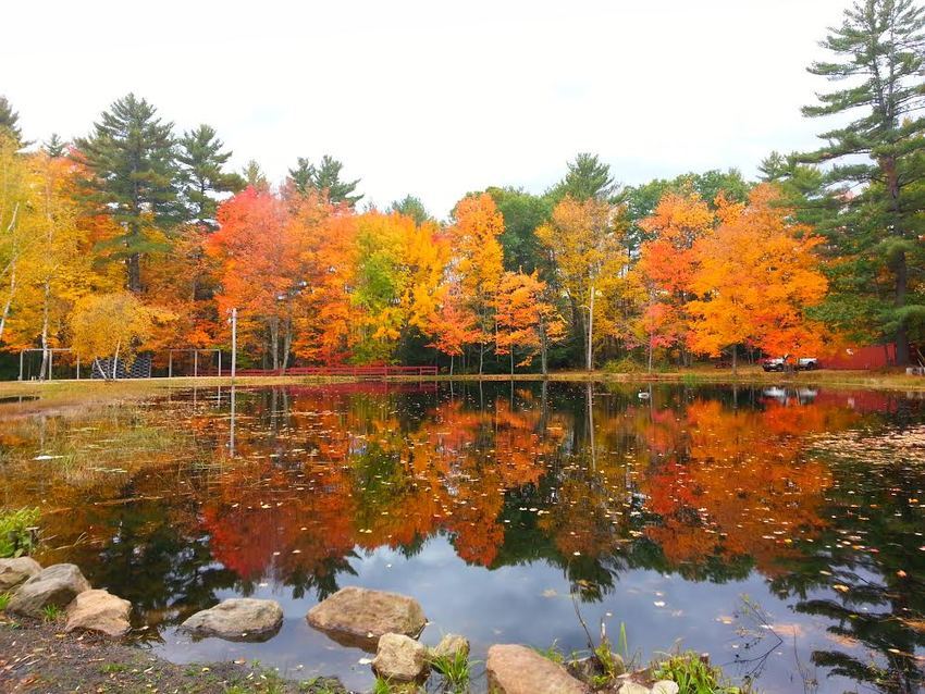 Circle 9 Ranch Family Campground Epsom Nh 6