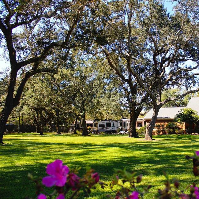 Majestic Oaks Rv Resort Biloxi Ms 4