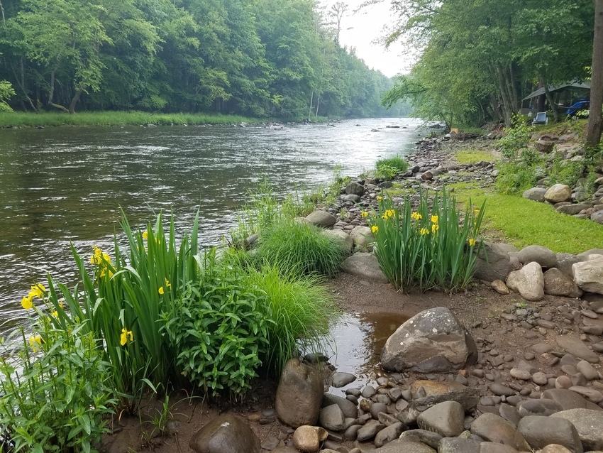 Oakland Valley Campground Cuddebackville Ny 0