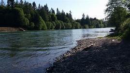 Riversedge Lodge   Rv Park Toledo Wa 11