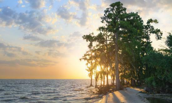 Fontainebleau State Park Mandeville La 1