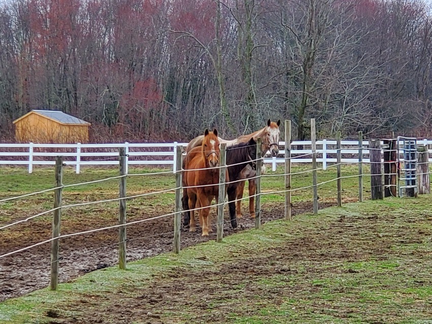 Clover Hill Farm Wallkill Ny 0