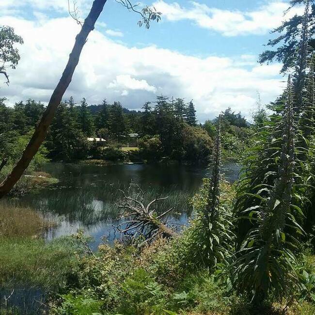 Paradise Point Rv Village Port Orford Or 3