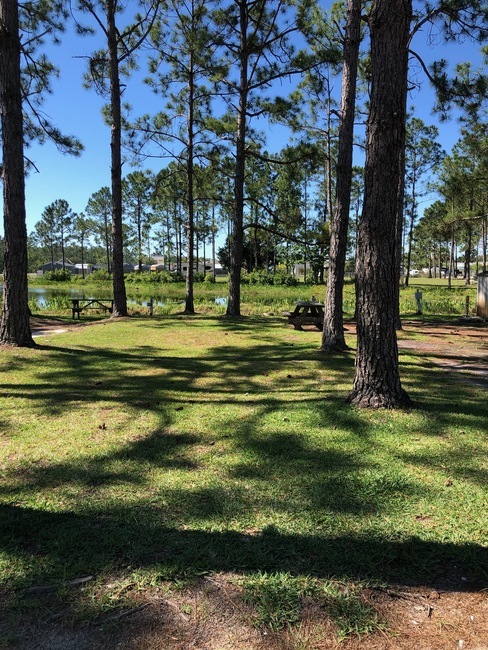 Royal Palms Rv Resort Bunnell Fl 3