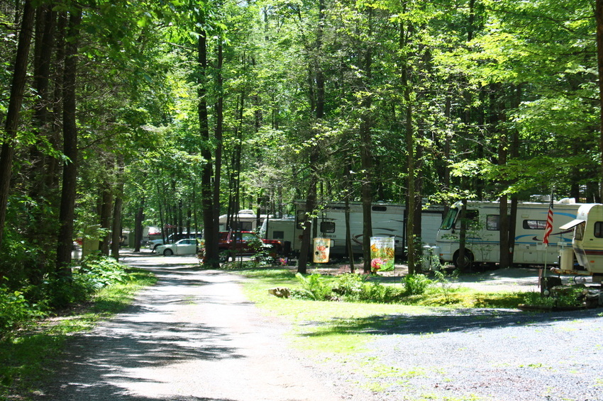 Gray Squirrel Campsites Beavertown Pa 5