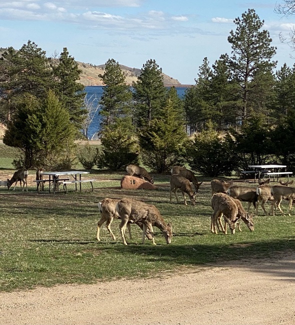 North Shore Rv Park   General Store Loveland Co 1