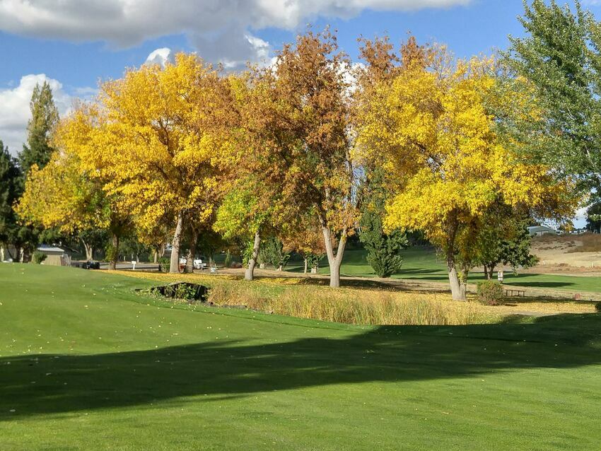 Sage Hills Golf   Rv Resort Warden Wa 7