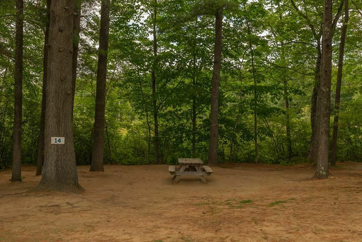 Littlefield Beaches Campground Greenwood Me 6