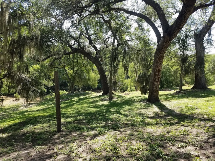 Mid Park
