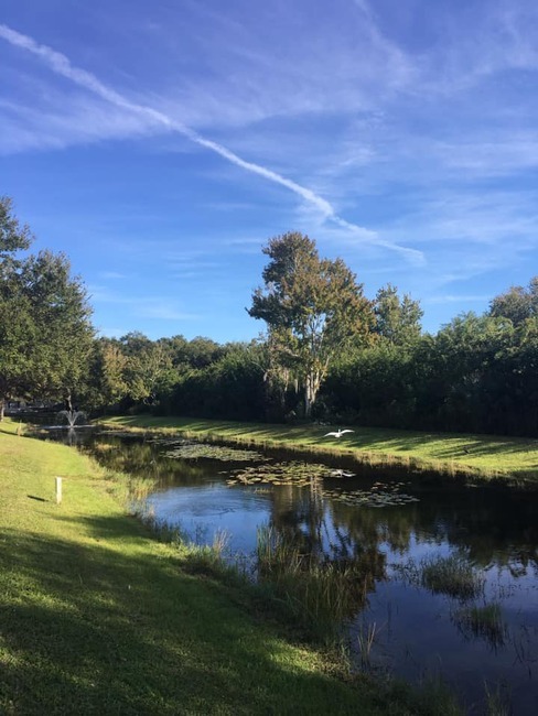 Scenic walking paths with majestic oaks