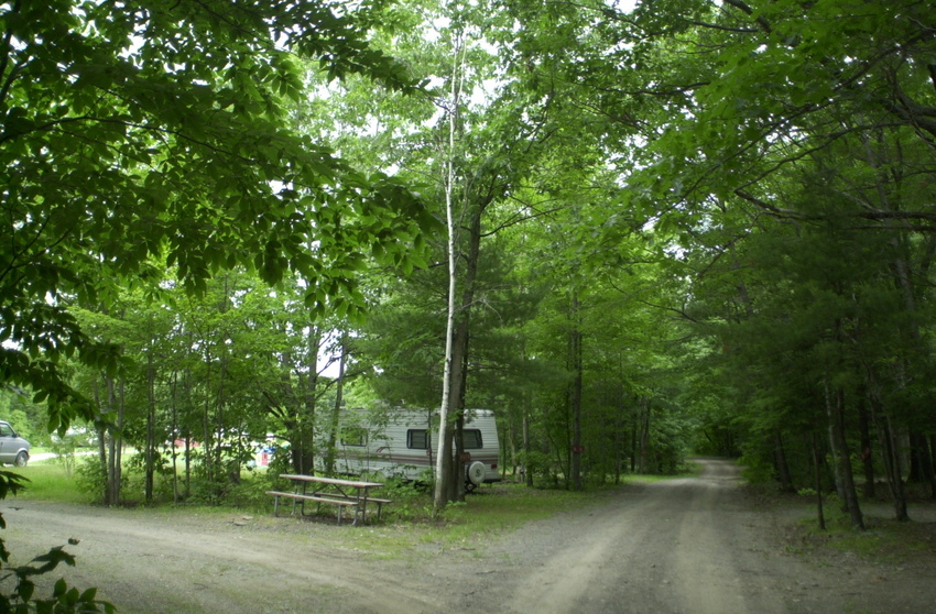 07c Site  B11