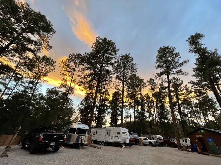 Full Park Summer Sunset