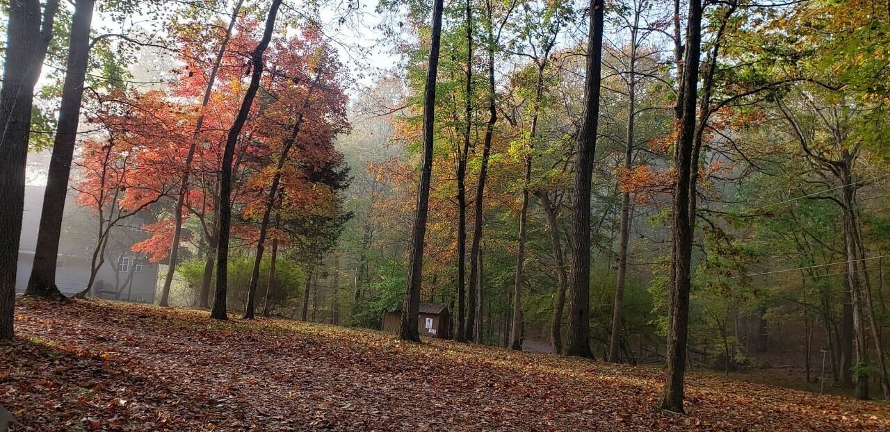 Looking Across The Yard From The Rv Spot