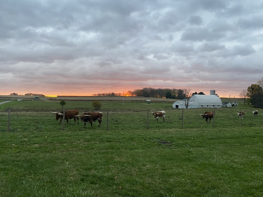 Cf Ranch   Cattle Co  Campground Burbank Oh 63